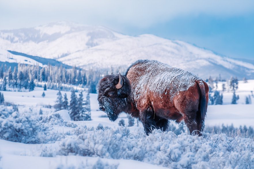 After The Blue Storm