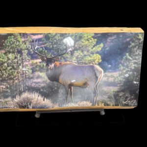 Caught In The Rays on Large Wood Slab