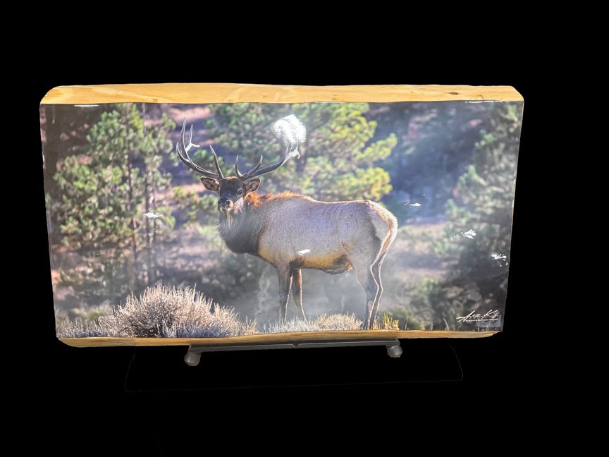 Caught In The Rays on Large Wood Slab