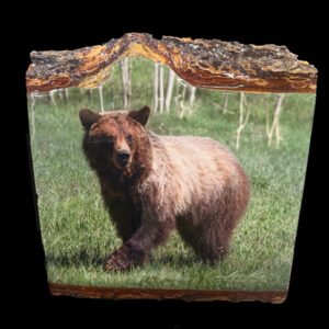 Happy fave on Pine slab