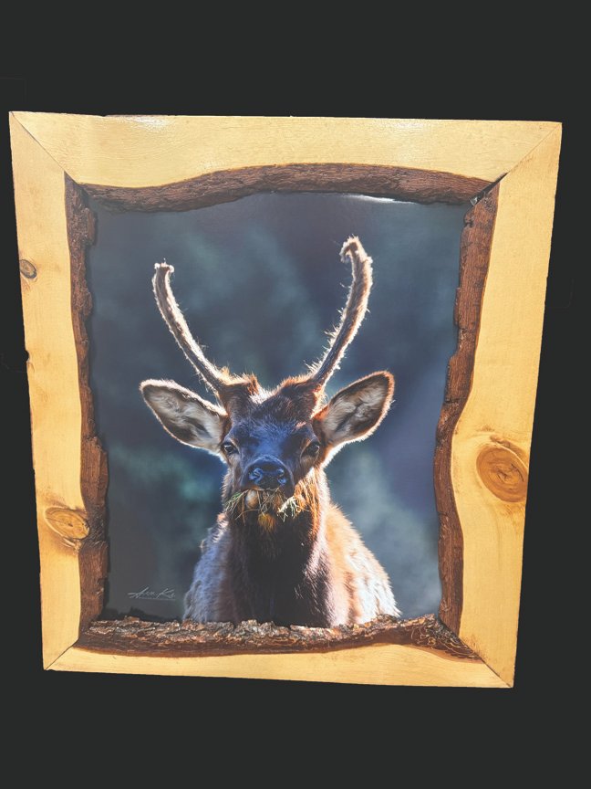 Munchies with Live Edge Pine Frame