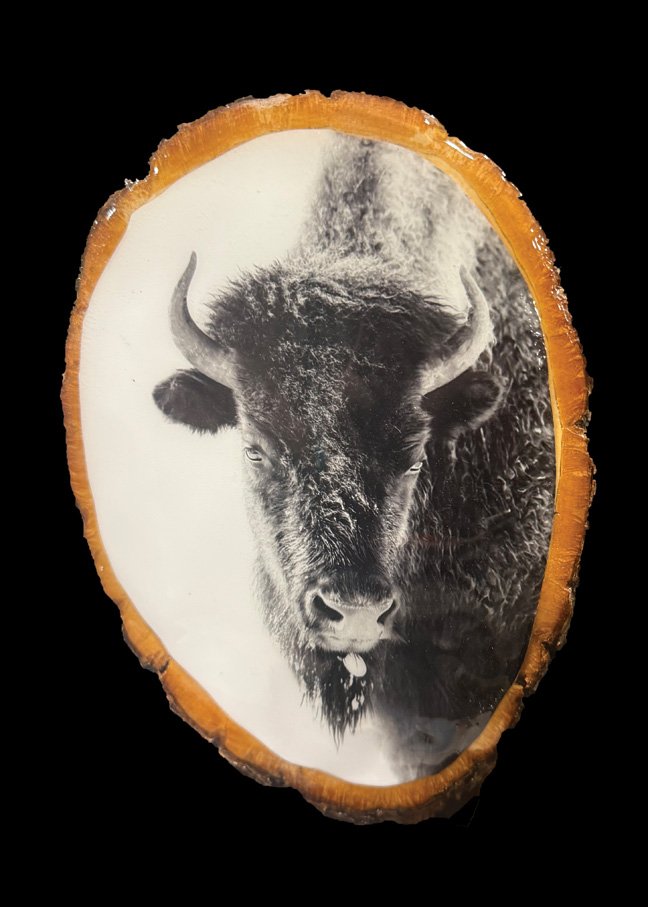 SOLD- Snowballs on a wood round slice